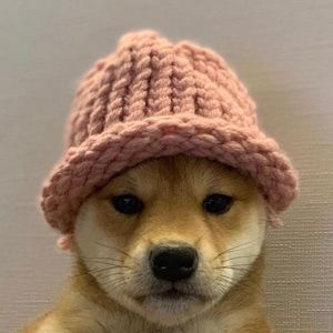 Meet your Posher, Will